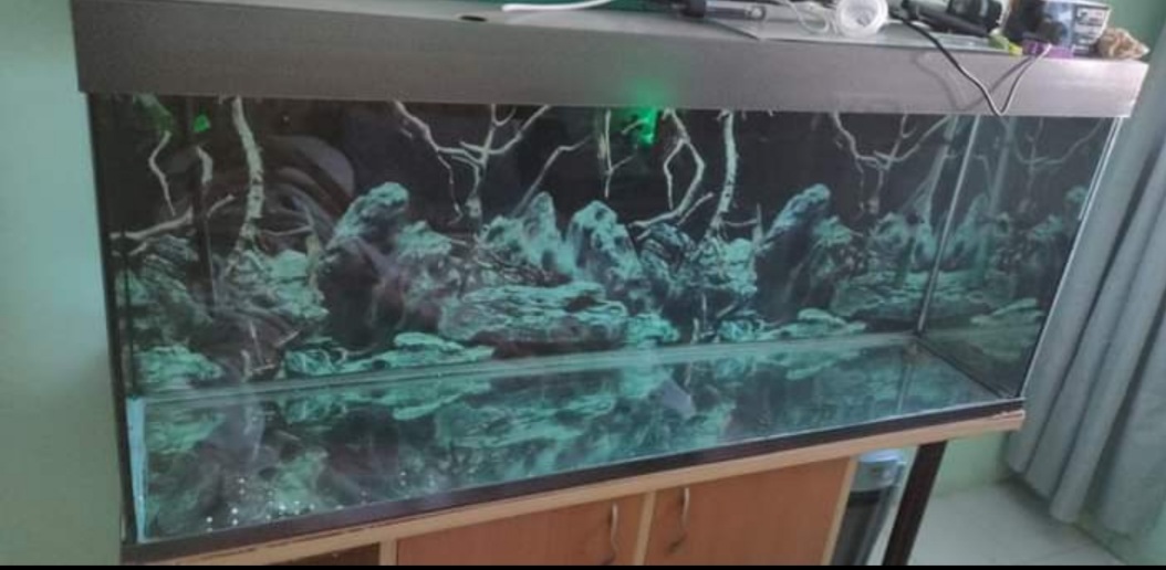 Screenshot_20210104-111548_Facebook