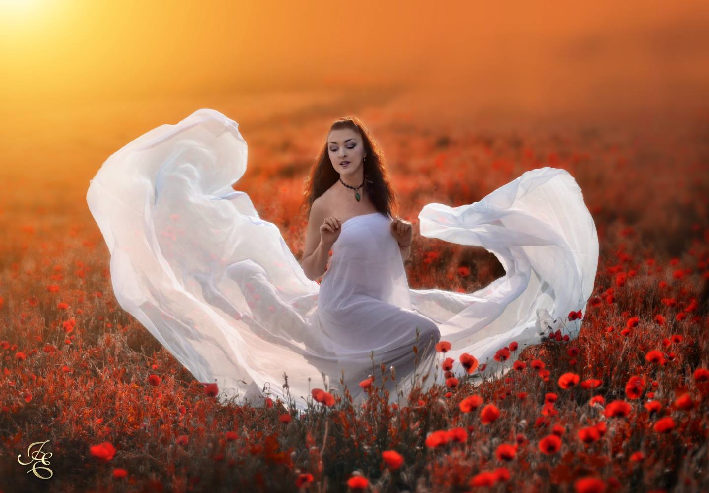 29665155_10155430245167960_3988642840310715674_o